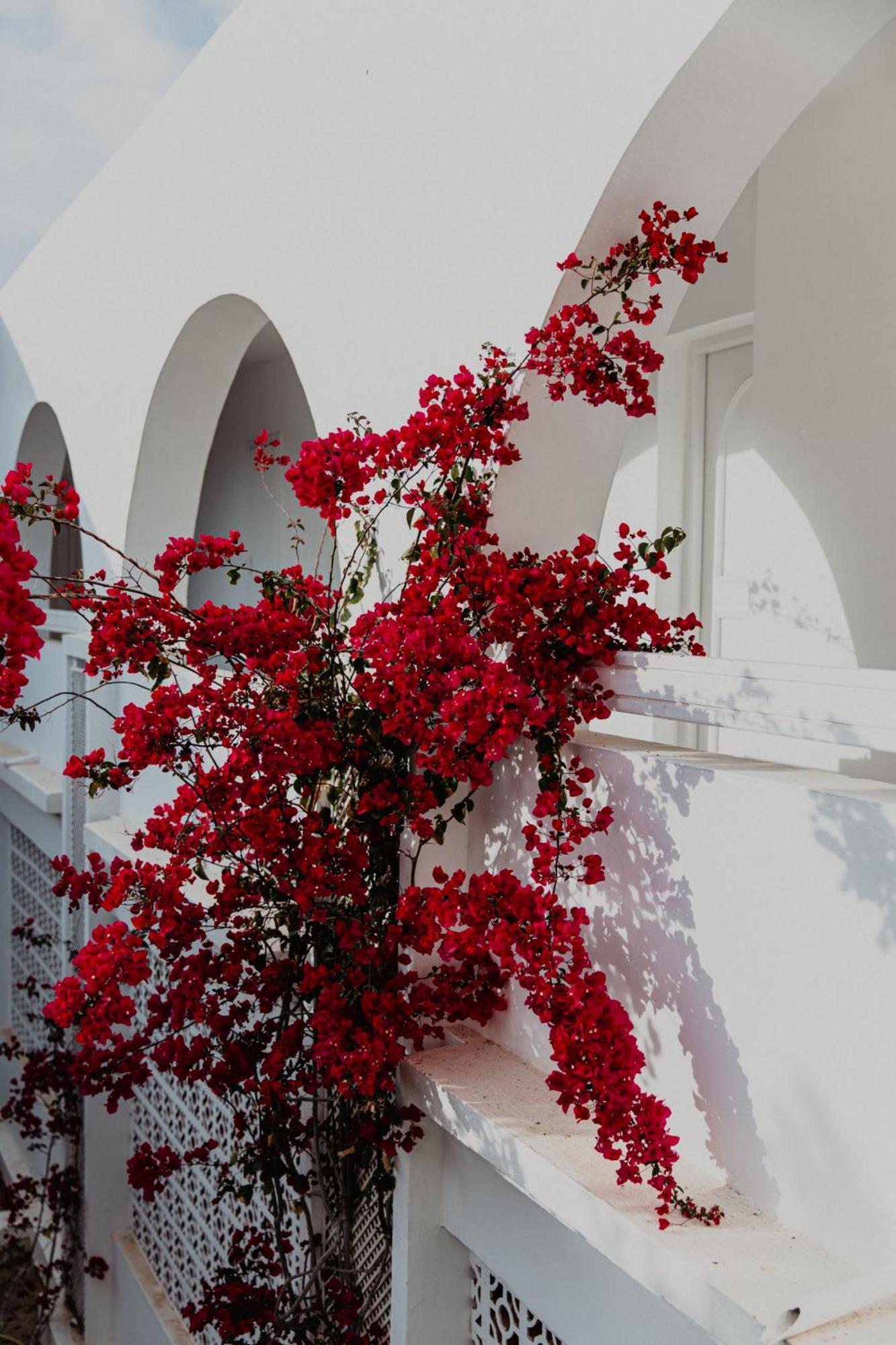 Hotel Bougainvillier Djerba Taguermess