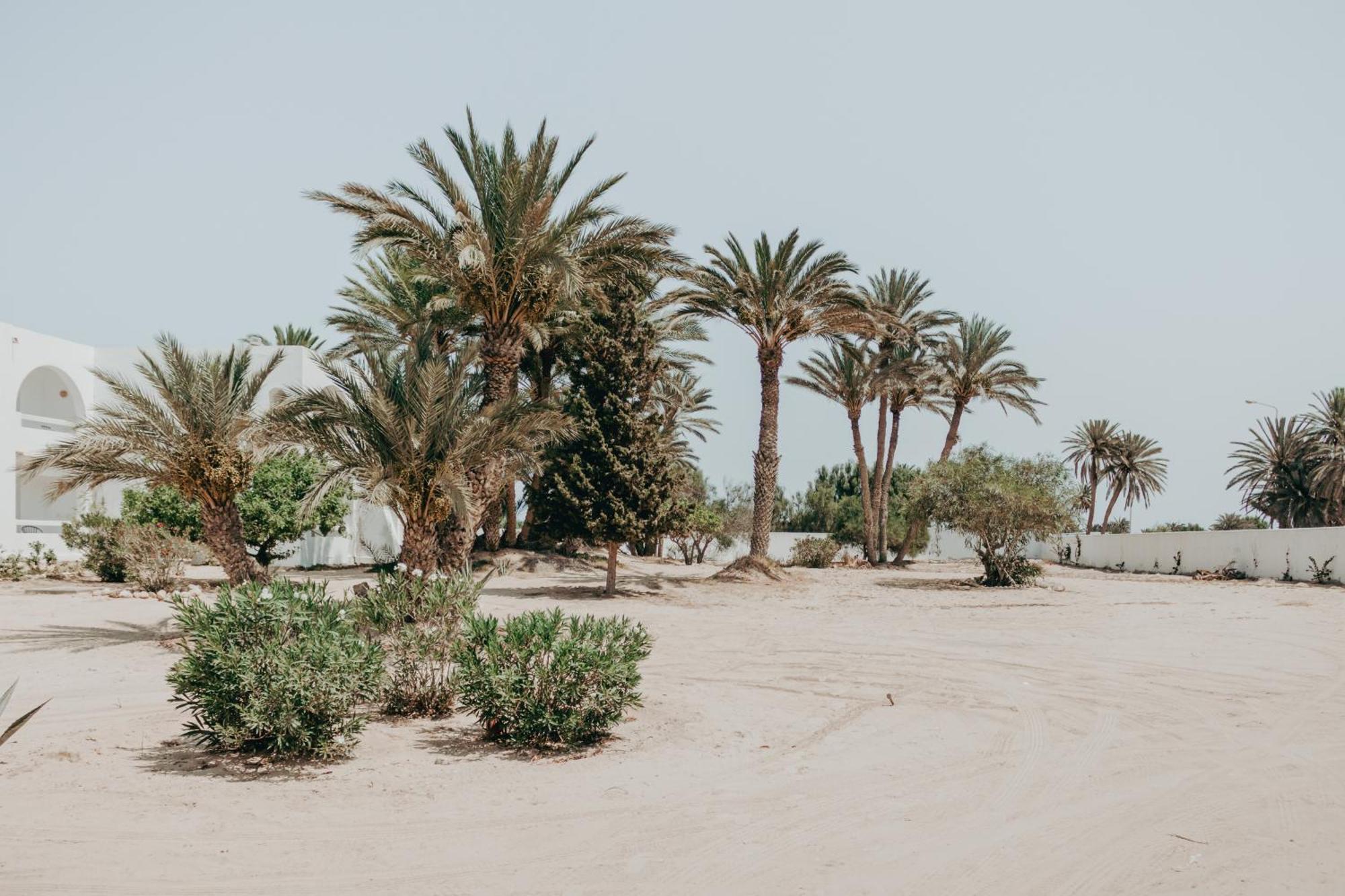 Bougainvillier Djerba 3* Taguermess