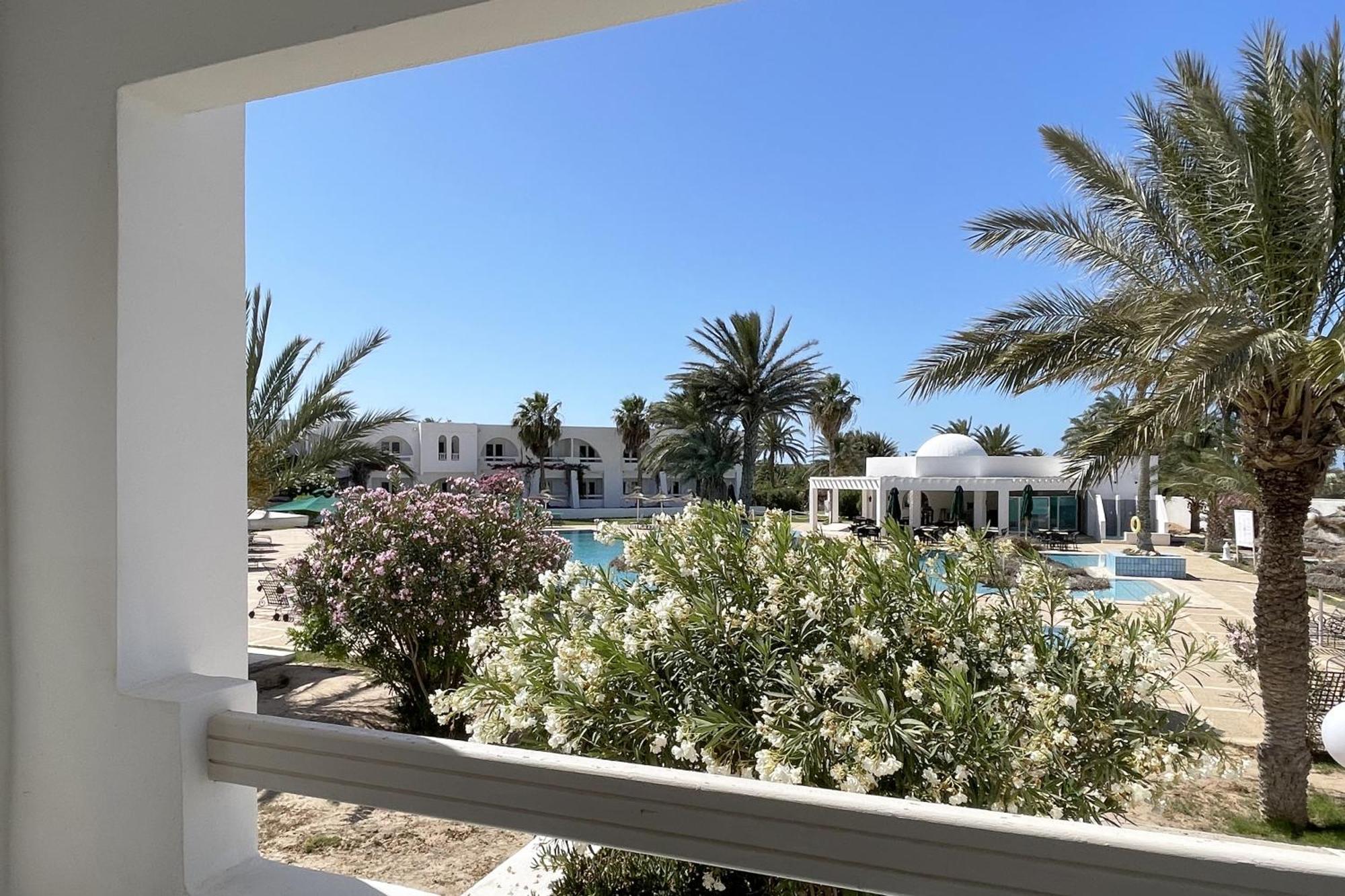 Bougainvillier Djerba Taguermess